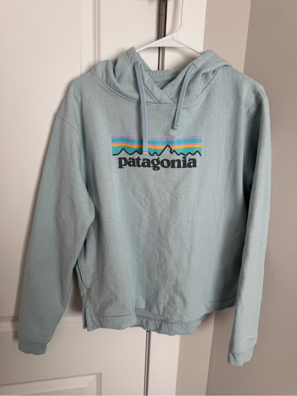 Patagonia Light Blue Pullover Hoodie